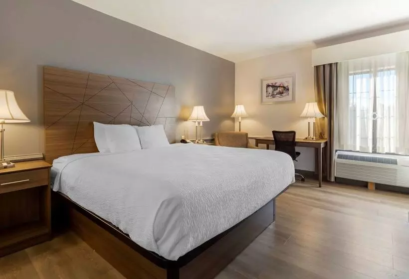 호텔 Best Western Plus South Hill Inn