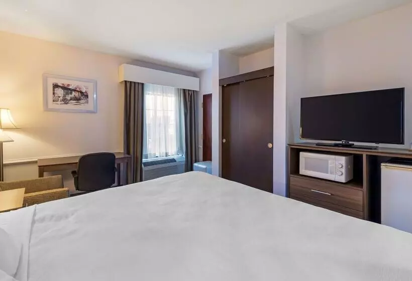 호텔 Best Western Plus South Hill Inn