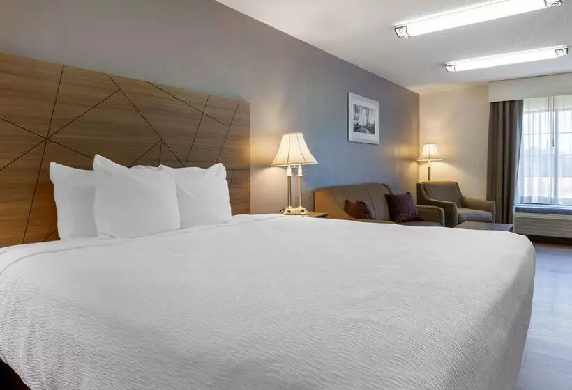 호텔 Best Western Plus South Hill Inn