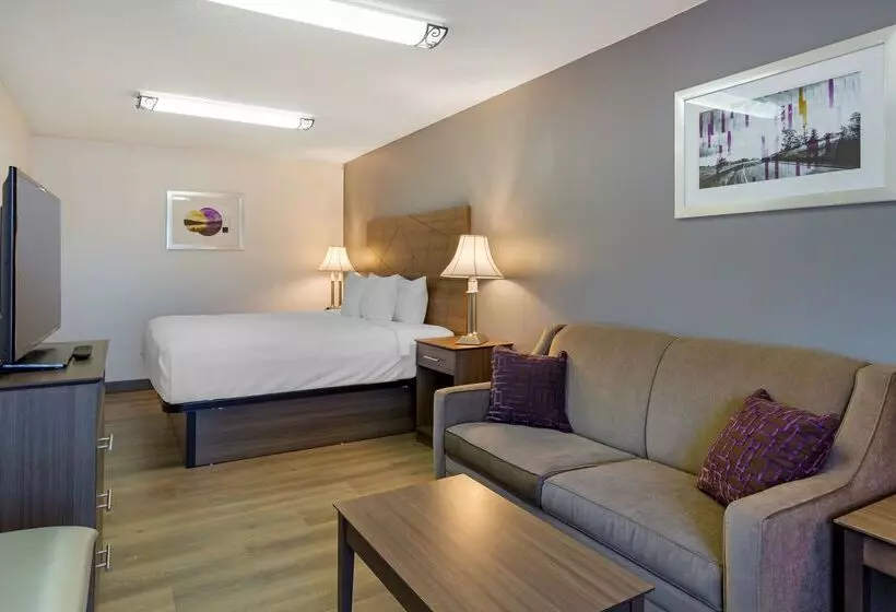 호텔 Best Western Plus South Hill Inn