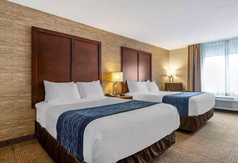 Отель Comfort Inn Ludington Near Us 10