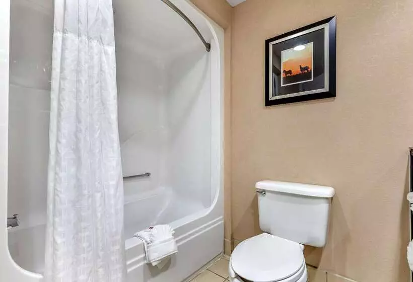 호텔 Comfort Inn & Suites Asheboro East