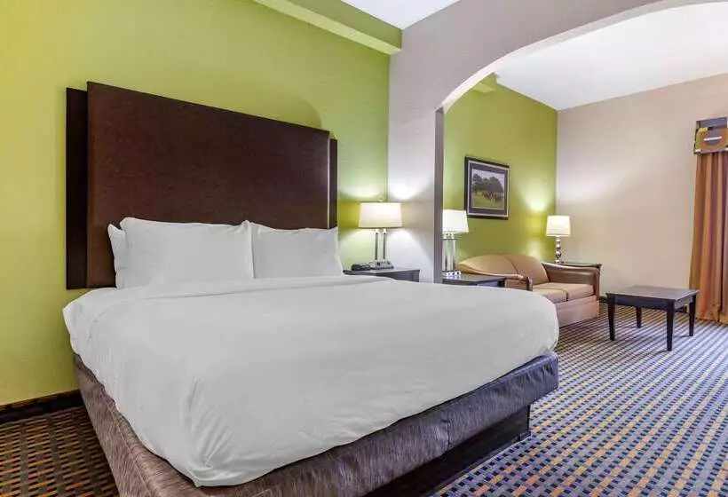 호텔 Comfort Inn & Suites Asheboro East