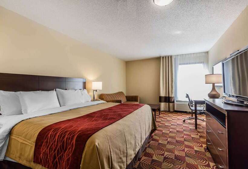 酒店 Comfort Inn & Suites Jasper Hwy 78 West