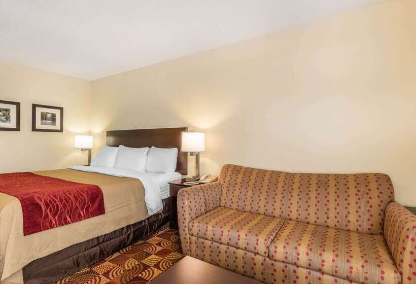 酒店 Comfort Inn & Suites Jasper Hwy 78 West