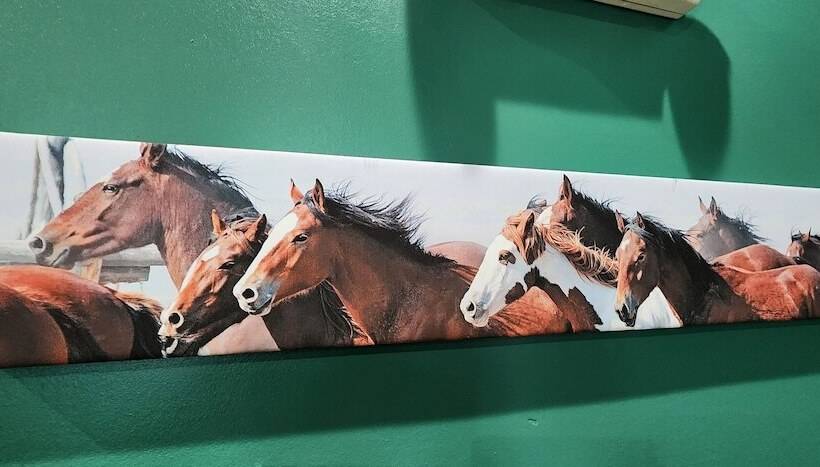 בית מלון כפרי Quality Inn