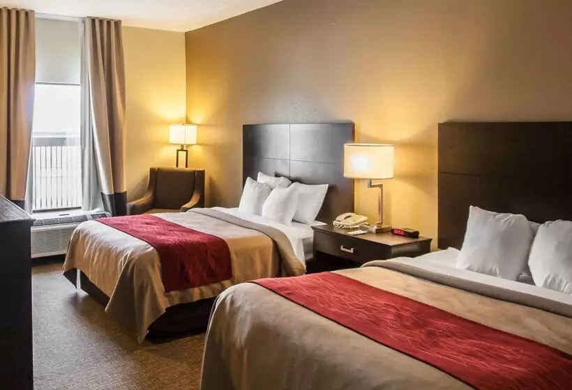 ホテル Quality Inn Hayti North