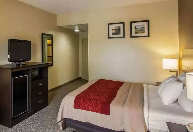 ホテル Quality Inn Hayti North