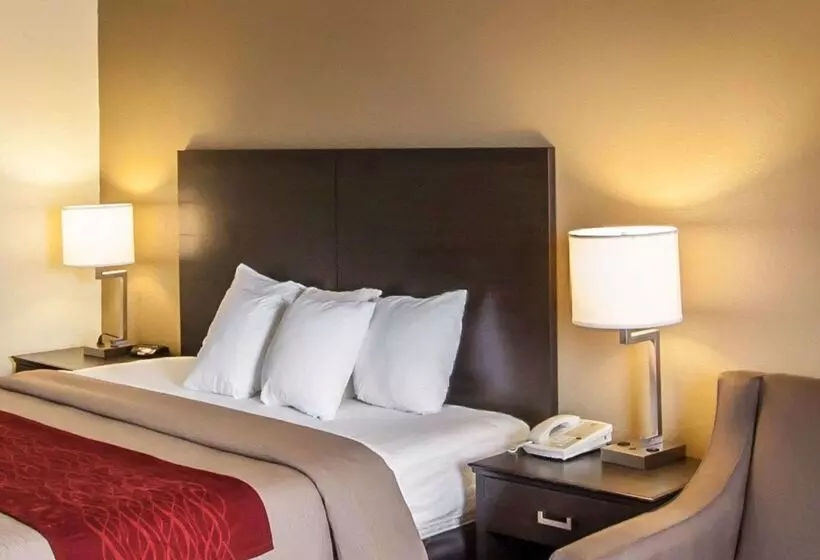 ホテル Quality Inn Hayti North