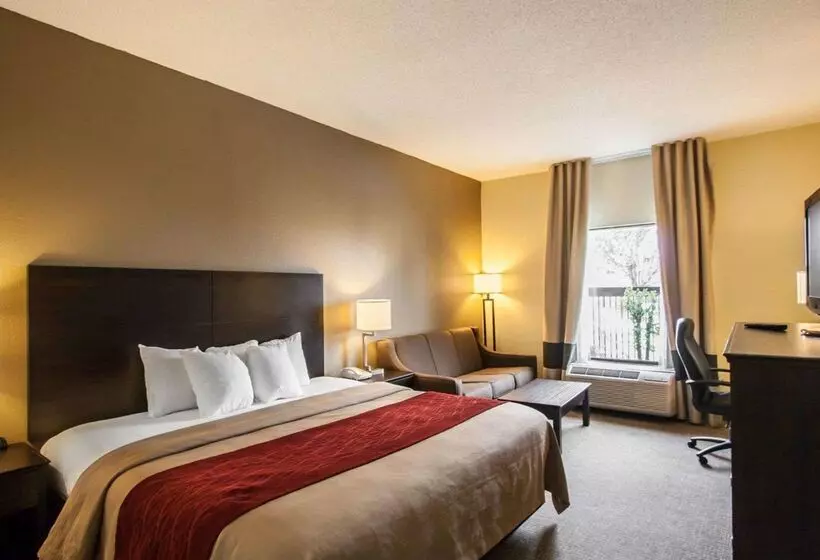 ホテル Quality Inn Hayti North