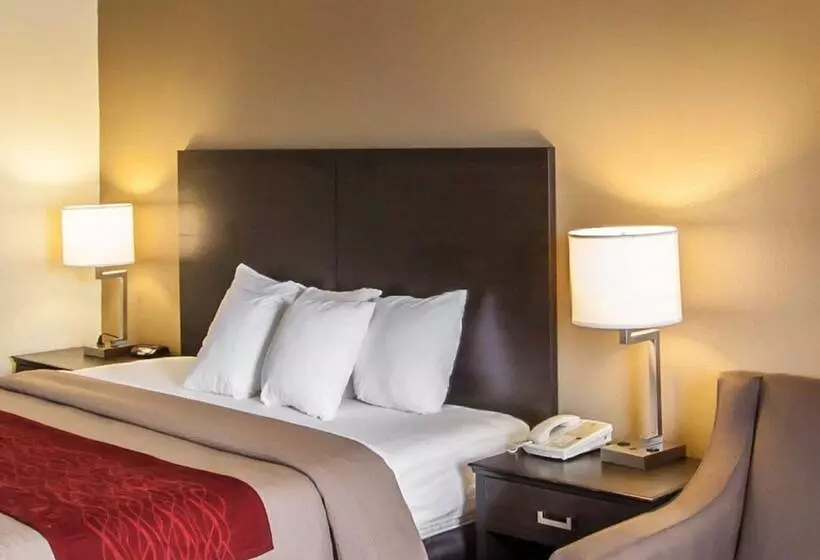 ホテル Quality Inn Hayti North