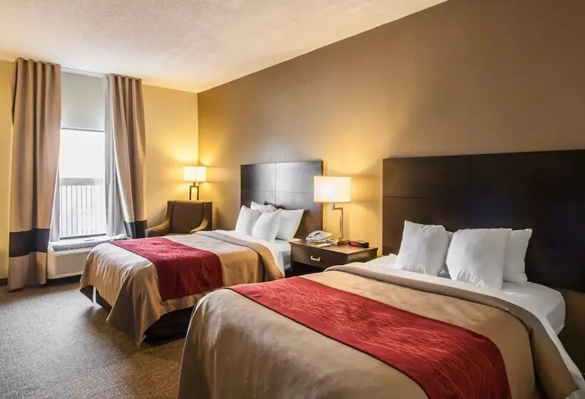 ホテル Quality Inn Hayti North