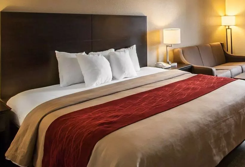 ホテル Quality Inn Hayti North