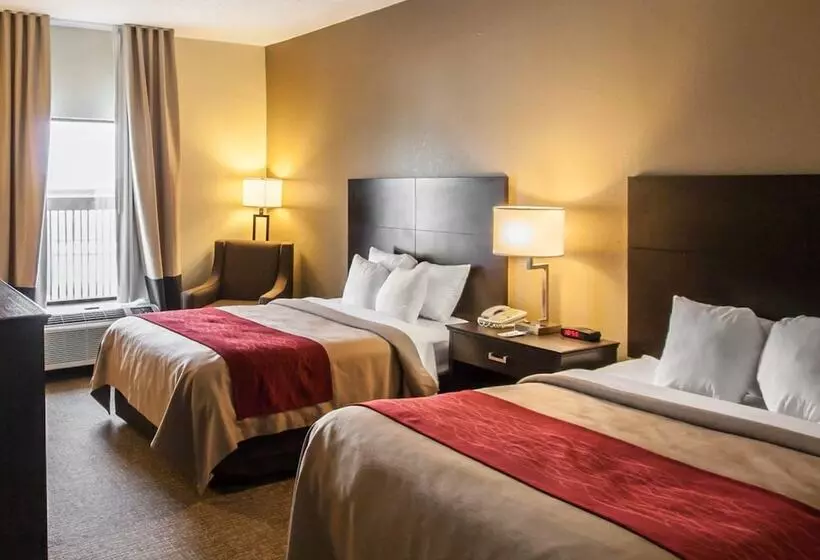 ホテル Quality Inn Hayti North