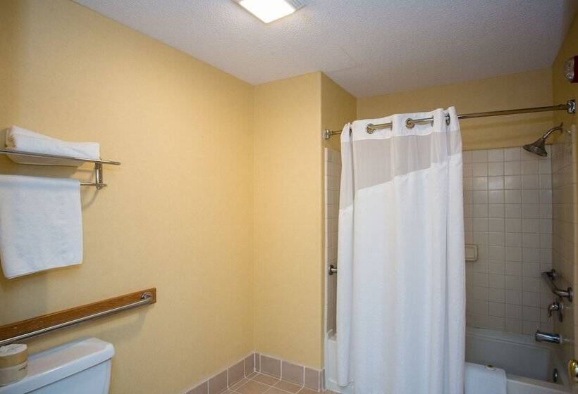 فندق Vagabond Inn Executive