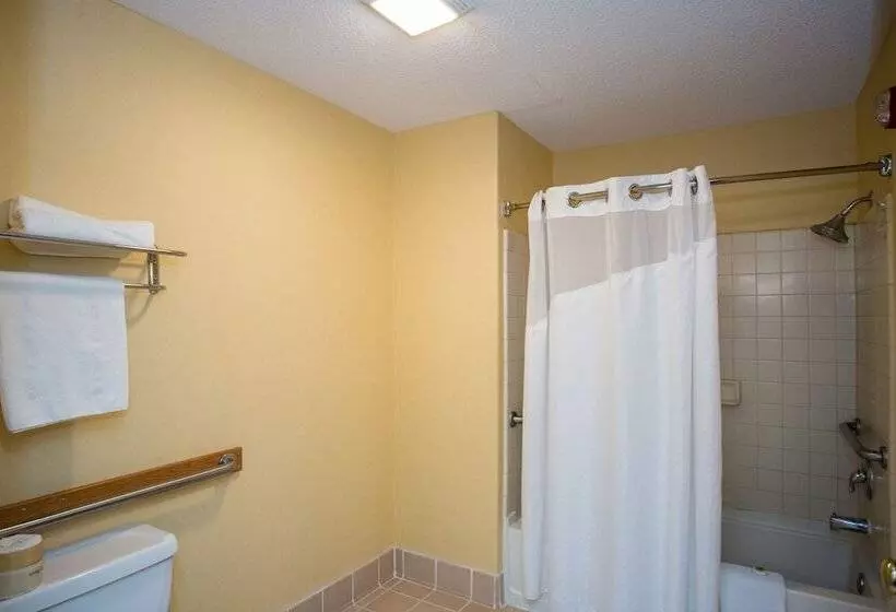 호텔 Vagabond Inn Executive