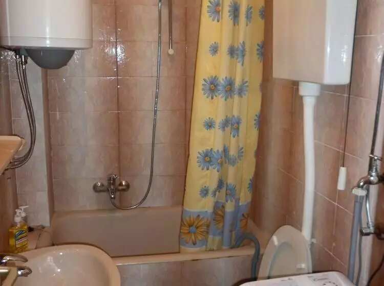 Rosmarinus Rubic Studio