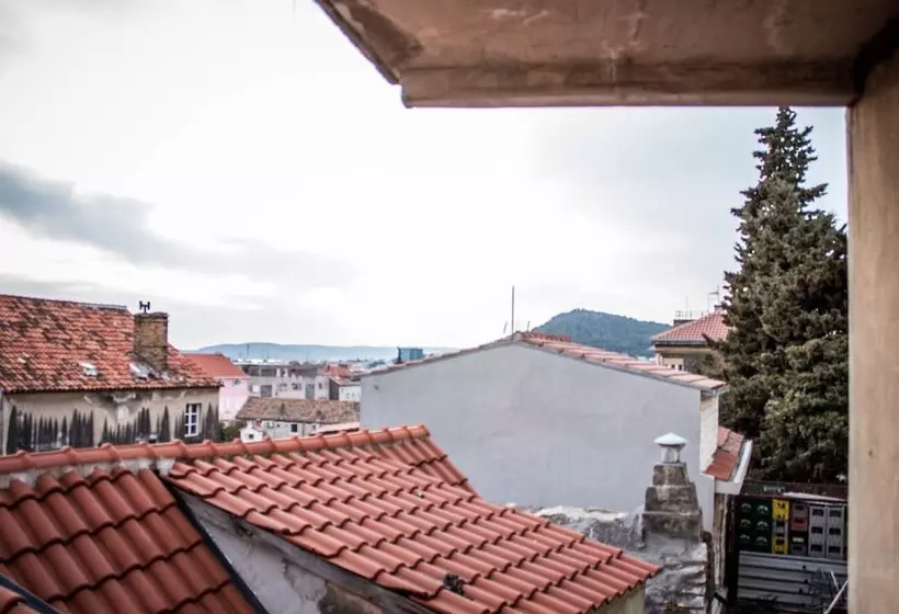 Rosmarinus Rubic Studio