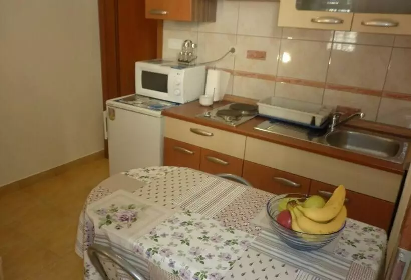 Rosmarinus Rubic Studio