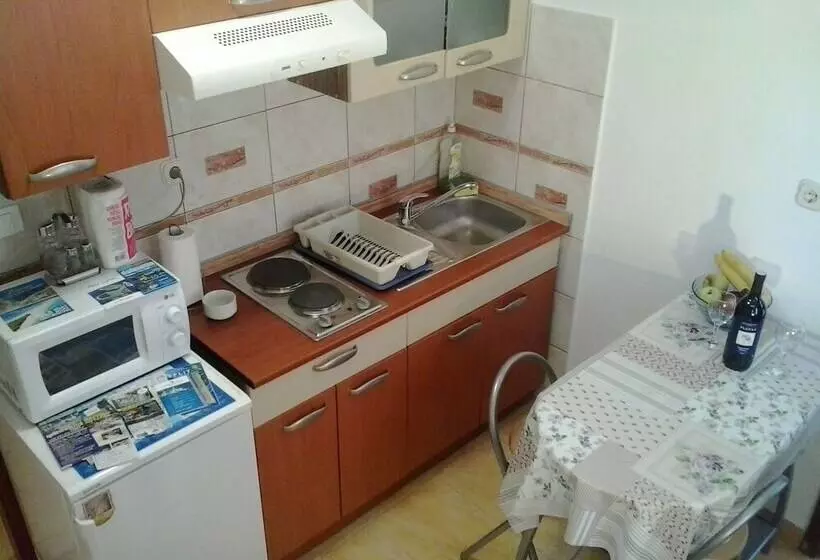 Rosmarinus Rubic Studio