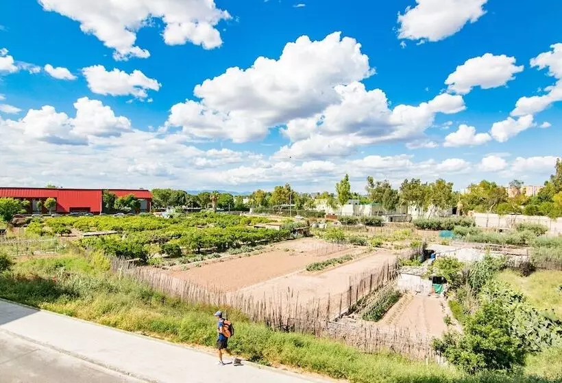 Biopark View Apartment