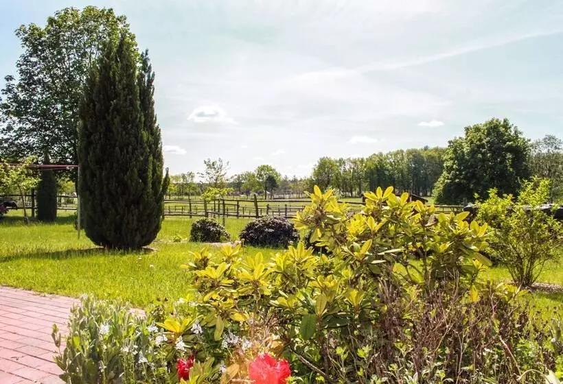 Ferienapartments Lüneburger Heide   Rehlingen