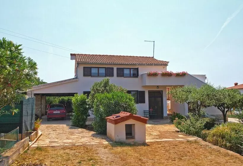 Apartment 895