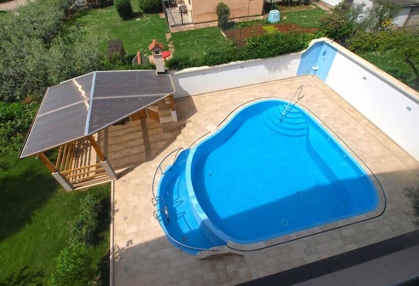 ペンション Apartments And Rooms Novigrad 1624