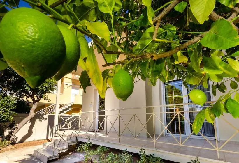 Glyfada  Aquarius Big Garden Villa