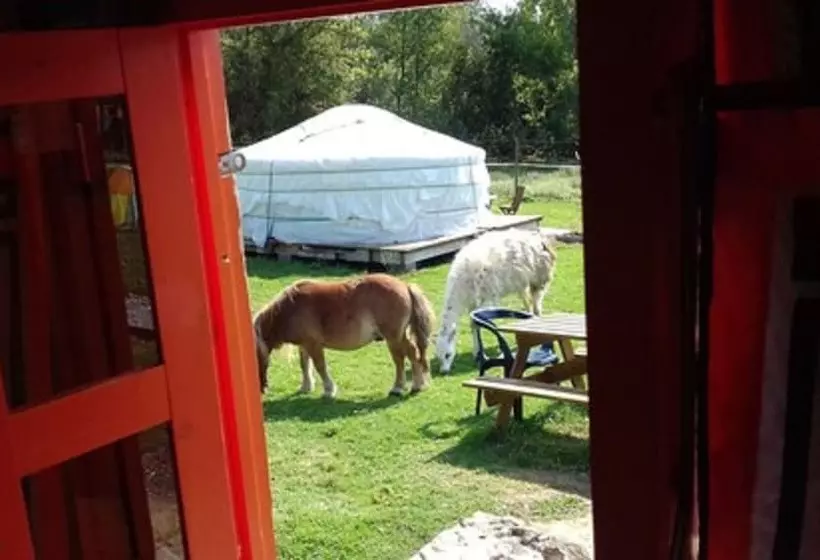 Majatalo Yourtes Du Moulin Bertrand