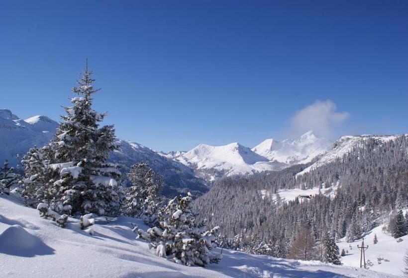 בית מלון כפרי Das Tauernherz