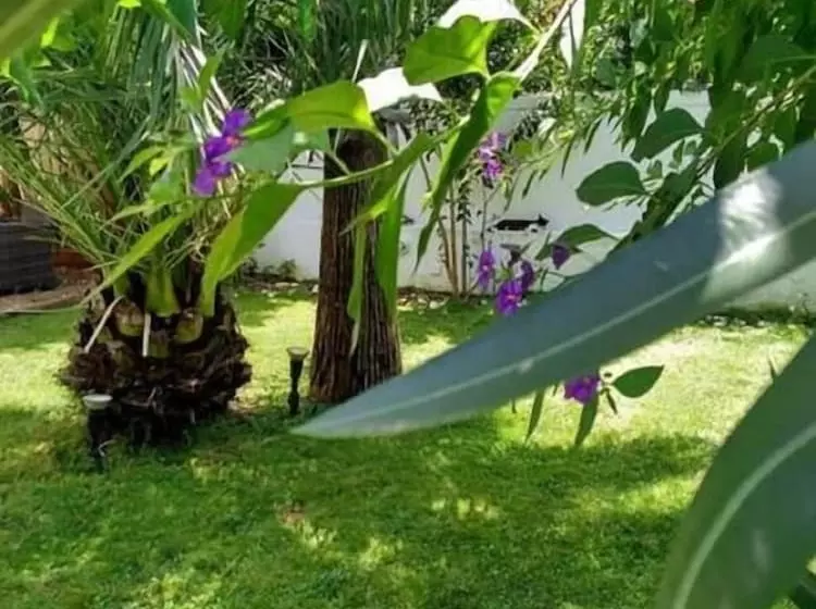 Paradise Villa Sounio