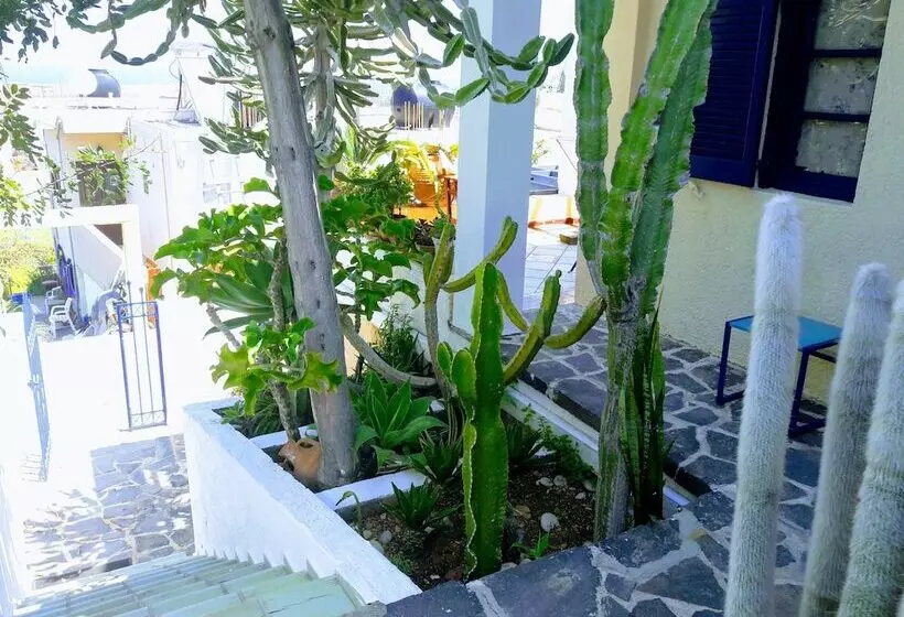 Sisi View