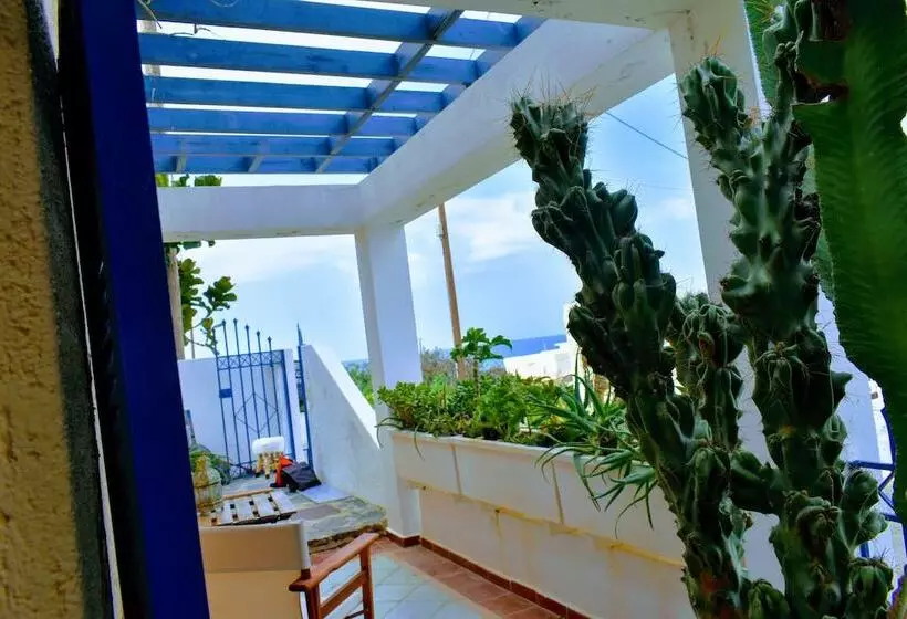 Sisi View