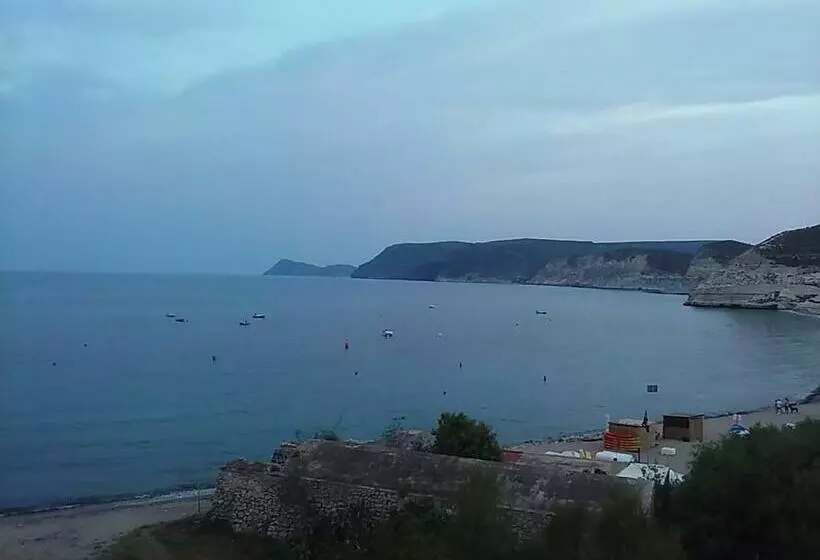 Arto Blanco
