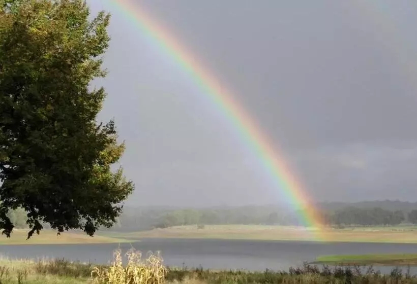 ベッドアンドブレックファースト La Tribu De Lavaud