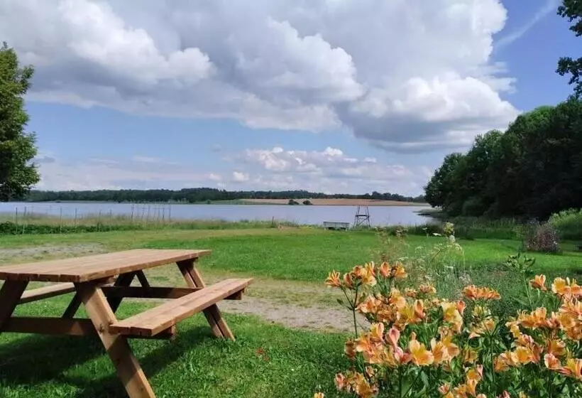 ベッドアンドブレックファースト La Tribu De Lavaud