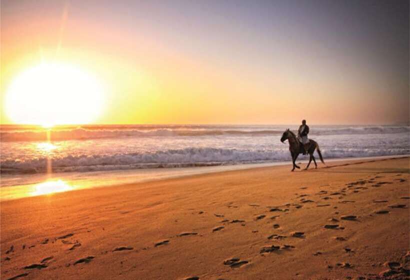 Gaviota Apartment 103413 By Mo Rentals