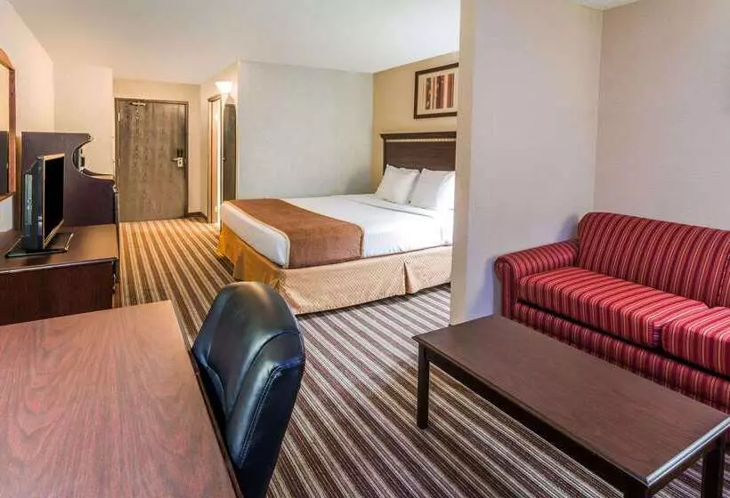 酒店 Days Inn & Suites By Wyndham Vancouver