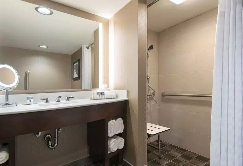 Hotel Doubletree By Hilton Schenectady Downtown