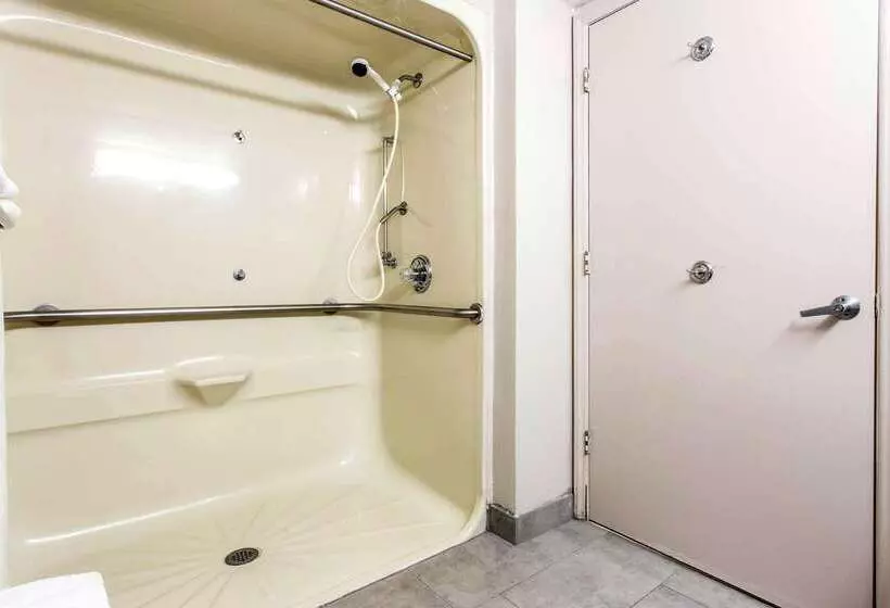 酒店 Quality Inn At The Park