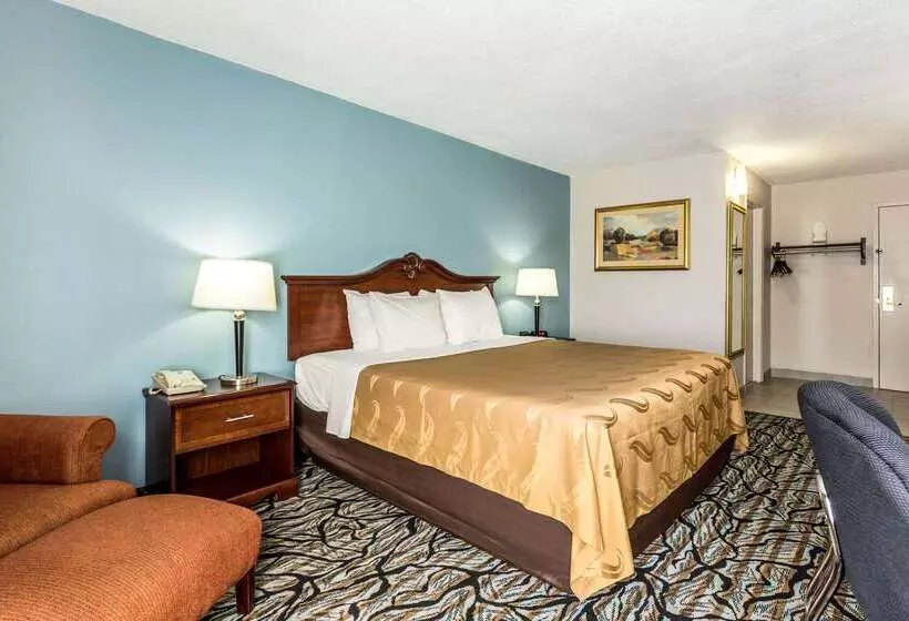 酒店 Quality Inn At The Park