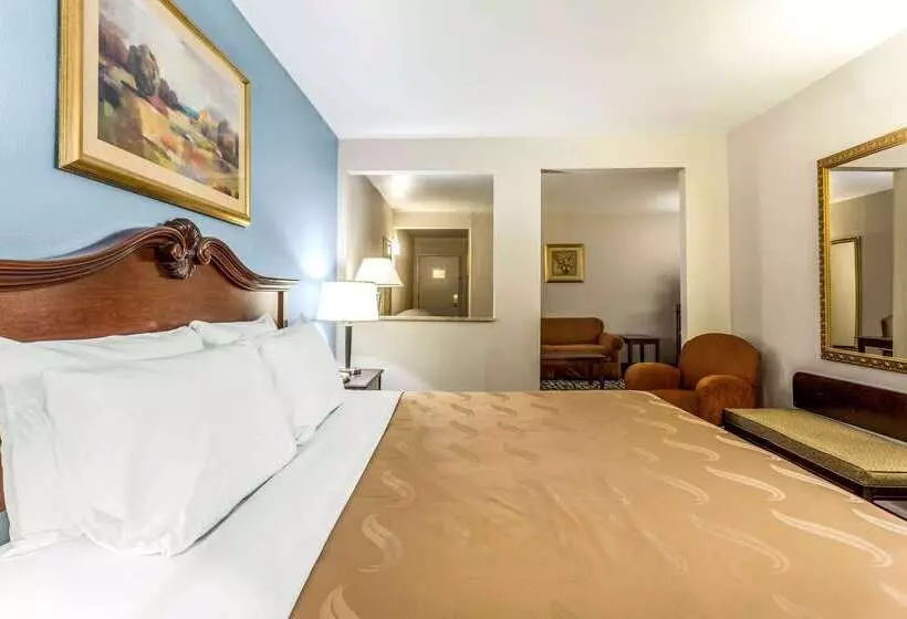 酒店 Quality Inn At The Park