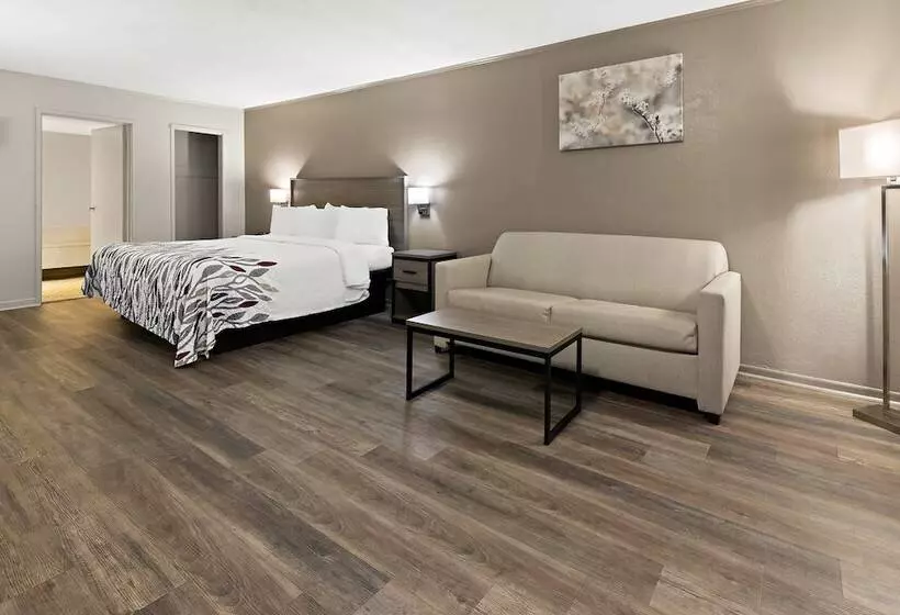 酒店 Red Roof Inn & Suites Monroe, Nc