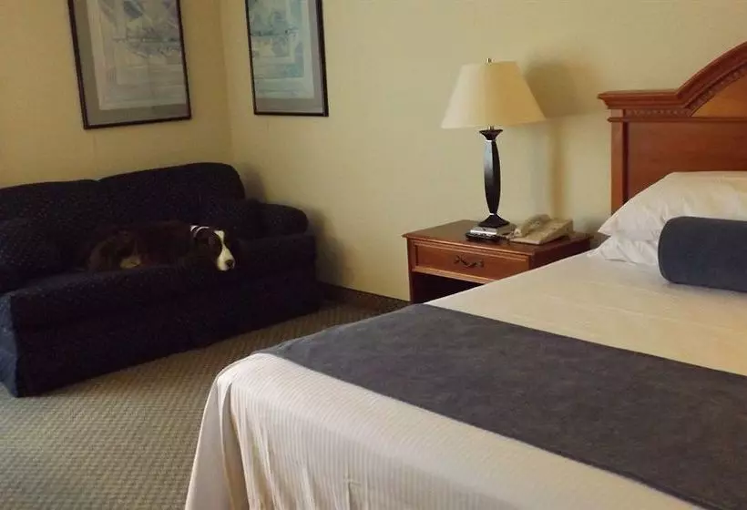 汽车旅馆  Ramada By Wyndham Wentzville