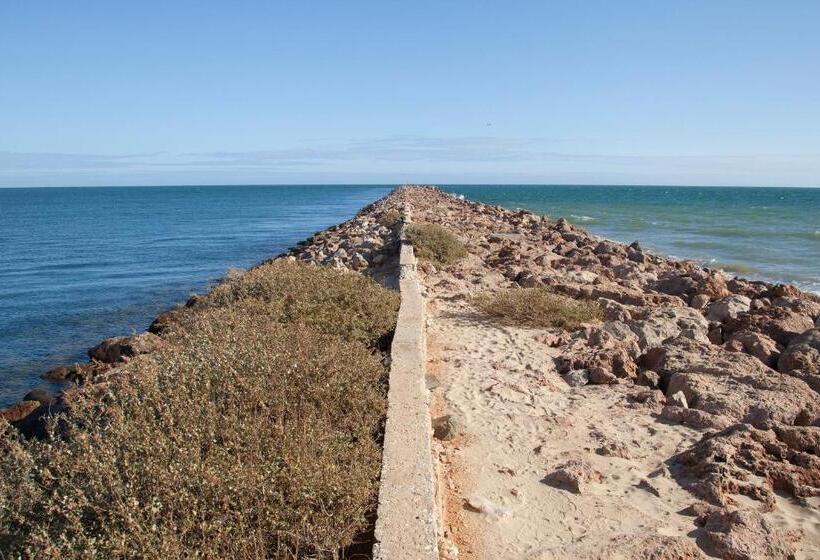 Fantastic Fatima Apartment