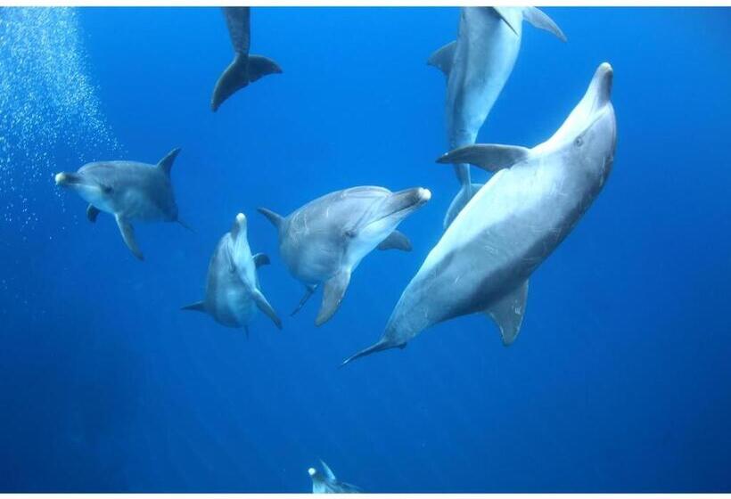 Business Hotel Kyugetsu