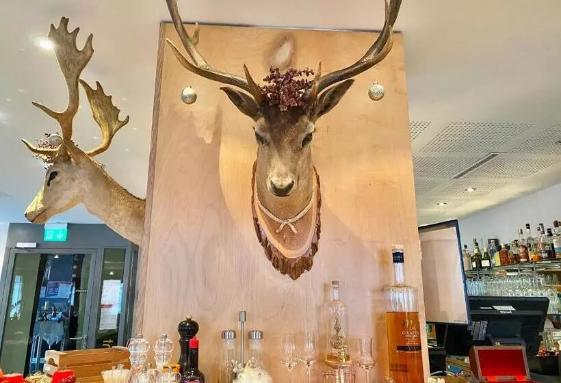 هتل Hirschen Hinwil