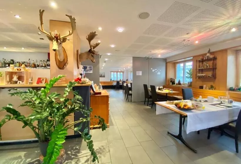 هتل Hirschen Hinwil