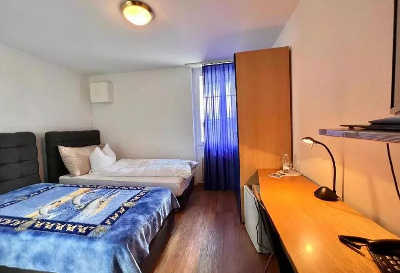 هتل Hirschen Hinwil